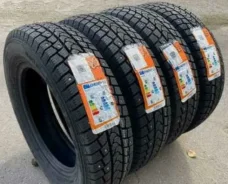 Tracmax Ice-Plus SR1. ������, ����������, ����� ����