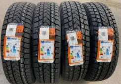 Tracmax Ice-Plus SR1. ������, ��� �����, ����� ����