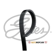 ������ ������������ Gates 4PK855 XF Gates 4PK855 ����
