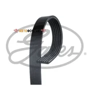 ������ ������������ Gates 6PK970 Gates 6PK970 ����