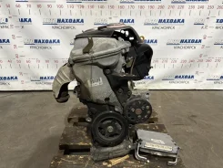 ��������� Toyota Allex 2001-2006 1900021131 NZE124 1NZ-FE 1900021131 ����