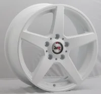 Race Ready CSS254