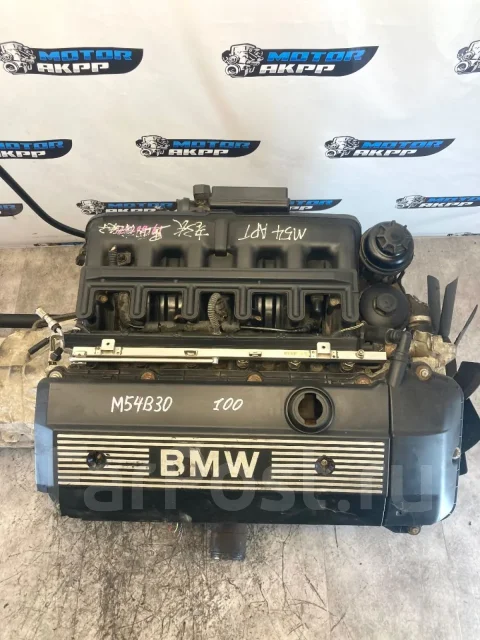 ��������� M54B30 BMW X5 E53 (1999�2003) [M54B30] M54B30 ����