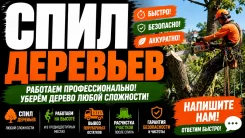 ���� ��������, ������� �����, �����, ����� �������, ������� ������ ����
