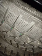 Mazzini Ice Leopard. ������, ��� �����, 2025 ���, �/�, ����� �� 5 % ����
