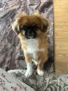 �������. ����
