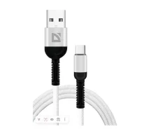 ������ F167, USB 2.0 (AM) - Type C, 1����, 2.4�, ���������� �������, �����. Defender ����