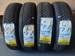 Rotalla Setula W Race S130. ������, ��� �����, 2026 ���, ����� ����