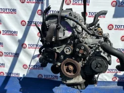��������� Toyota Ipsum 1900028483 ACM26 2AZ-FE 1900028483 ����