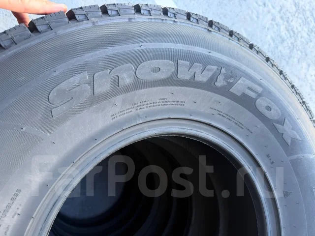 Tri Ace Snow Fox. ������, ��� �����, 2026 ���, ����� ����