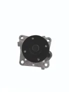 ����� ������� Stron STP0181 STP0181 ����