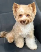 ���� ����������� ������. ����