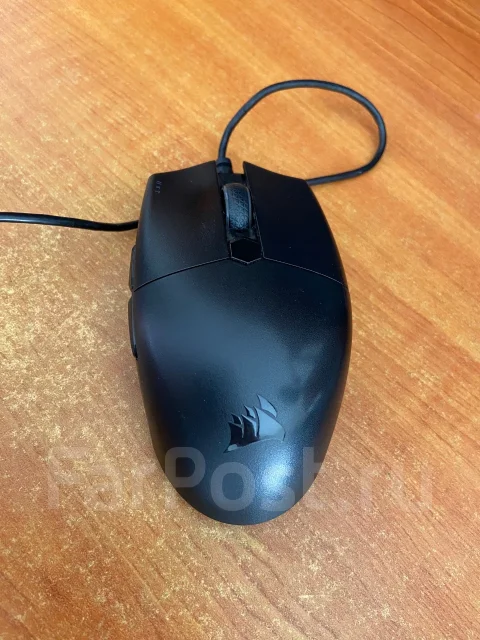 ���� �������. ����