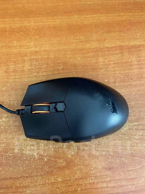 ���� �������. ����