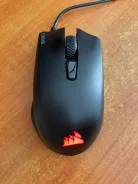 ���� �������. ����