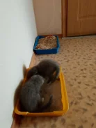 ����������� �����. ����