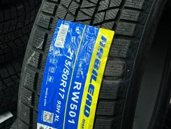 Habilead IceMax RW501. ������, ��� �����, 2026 ���, ����� ����