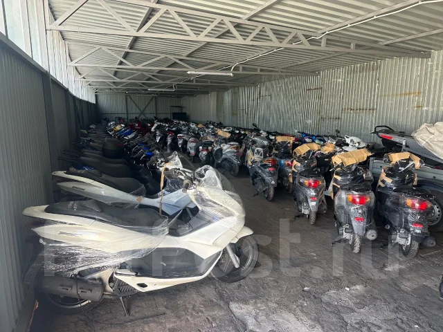 Honda Dio. 49����. ��., ��������, ���������, ��� ������� ����
