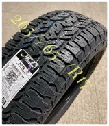 Torero MP72. ����� at, 2026 ���, ����� ����