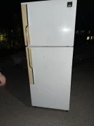 ������������ ������������. ����