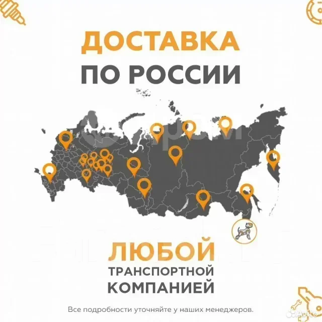 Triangle Snowlink PL02. ������, ��� �����, 2025 ���, ����� ����