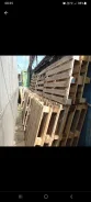 ������� ����
