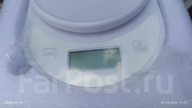 ���� ��������. ����