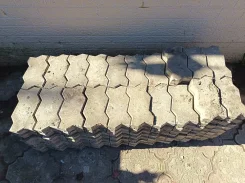 ���������. ����