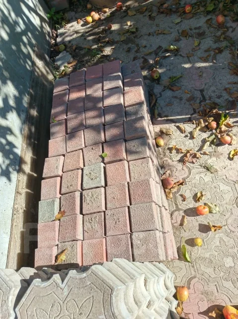���������. ����