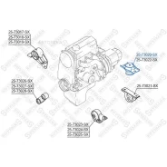 ������� ��� ������ ����� VIN: 2573020SX ����