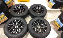 RAYS Team Daytona FDX F6