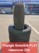 Triangle Snowlink PL01. ������, ��� �����, 2026 ���, ����� ����