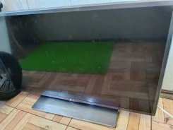 LG ����