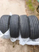 Windforce Catchfors H/T. ������, 2024 ���, �/�, ����� �� 5 % ����