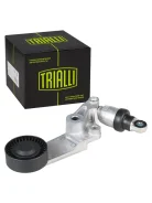 ����� ���������� ����� (� �������� ����������) (������. NSK/NTN) Trialli CM1906N CM1906N ����