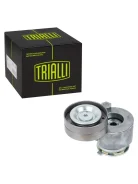 ����� ���������� ����� � �������� ���������� Trialli CM5272 CM5272 ����