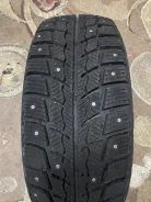 Delinte Winter WD52. ������, ����������, 2025 ���, ����� ����
