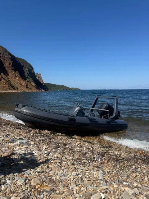 Mercury Ocean Runner. 2007 ���, ����� 5��., ��������� ���������, 70��.�., ������ ����