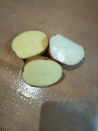 ���������. ����