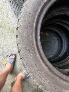 Tunga Nordway 2. ������, ����������, �/�, ����� 25 % ����