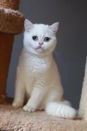 ���������� �����. ��� ����� �� ���������� ����