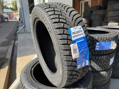 Fortune Polaro Ice. ������, ����������, 2026 ���, ����� ����
