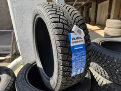 Fortune Polaro Ice. ������, ����������, 2026 ���, ����� ����