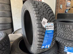 Fortune Polaro Ice. ������, ����������, 2026 ���, ����� ����