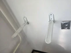 ����������. ����
