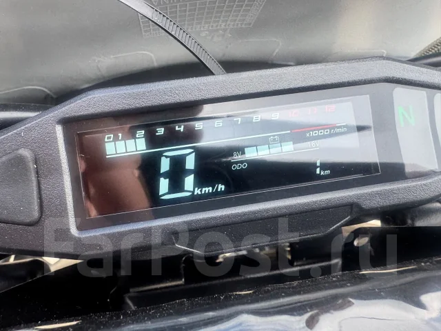 Progasi Race 300. 300����. ��., ��������, ��� ���, ��� ������� ����