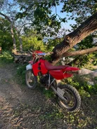 Honda CRM 50. 50����. ��., ��������, ��� ���, ������ �� �� ����