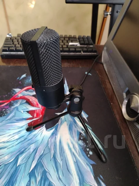 �������� K669 ����