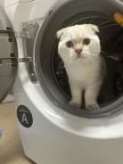 ����������� ��������� �����. ��� ����� �� ������ ����