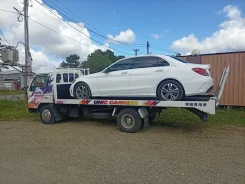 ����������. ����